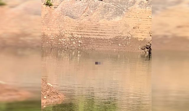 Hayvanları otlatırken kaybolan Emirhan'dan acı haber