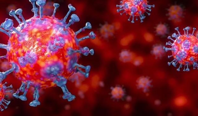 Koronavirüs vakaları bir ayda yüzde 38 arttı