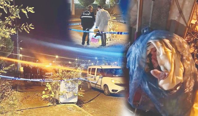 Çöpe atılan bebeğin annesi olduğu değerlendirilen kadın tutuklandı