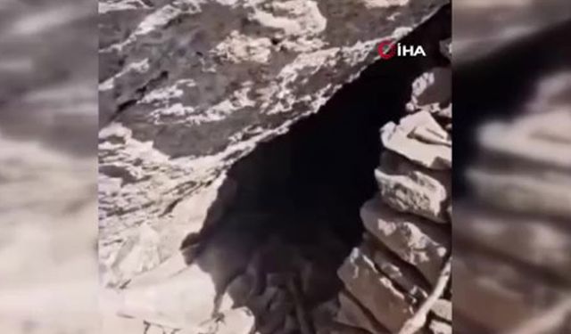 Pençe Yıldırım Operasyonu bölgesinde teröristlere ait mağara ele geçirildi
