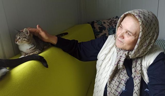 Kahramanmaraşlı Şaziye teyze konteyner evinde kedileriyle hayatını sürdürüyor