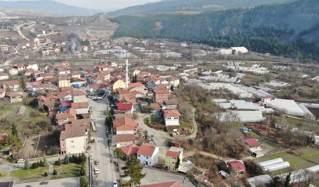 Sürekli göç alıyor! Burası Türkiye'nin en kalabalık köyü