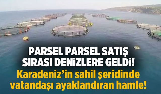 Çok sayıda balık türünün bulunduğu Karadeniz’in kıyı şeridi  parsel parsel satıldı