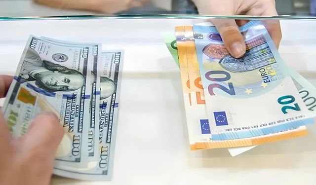 Dolar ve Euro'nun Türk Lirası karşısındaki yeni rekorları devam ediyor