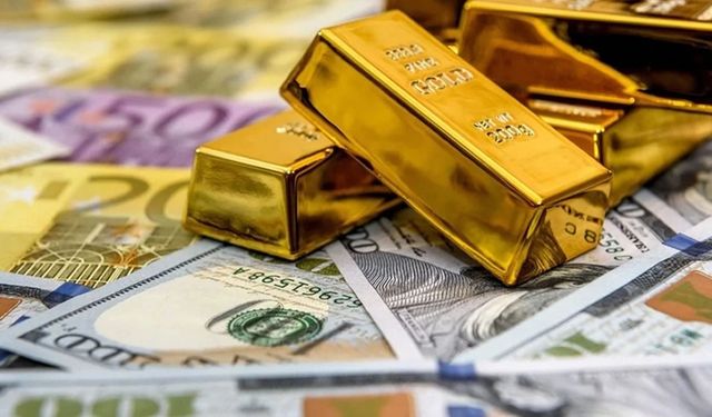 Türk Lirası'nın Euro ve altın olmak üzere değerli metaller karşısındaki değer kaybı büyüyor