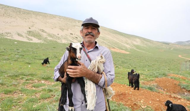 Kahramanmaraş'lı çoban “Kurbanlığımız da var, damızlığımız da var bir geçim derdi ile yaşıyoruz"