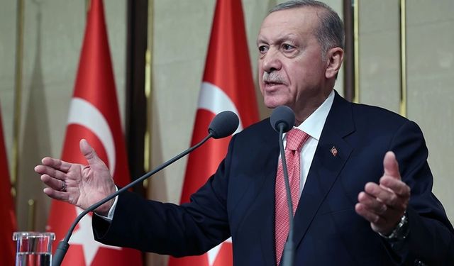 Erdoğan: "gerekli izin ve tedbirler alındığı sürece herkes barışçıl protestosunu yapabilir"