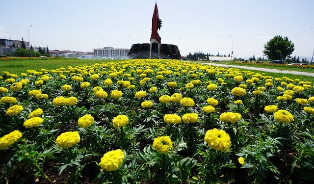 Kahramanmaraş çiçek açıyor