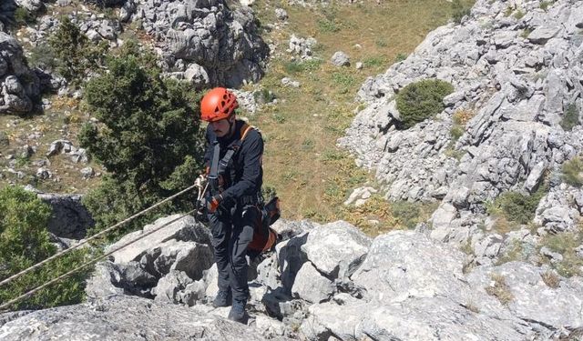 Mahsur kalan küçükbaş hayvanlar kurtarıldı