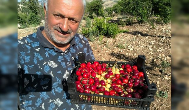 Kiraz üreticisi "vatandaş bunu 50 liraya alıp yiyemiyor"