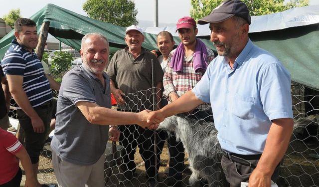 Kahramanmaraş’ta canlı hayvan borsasında bayram arifesi pazarlıklar sıklaştı