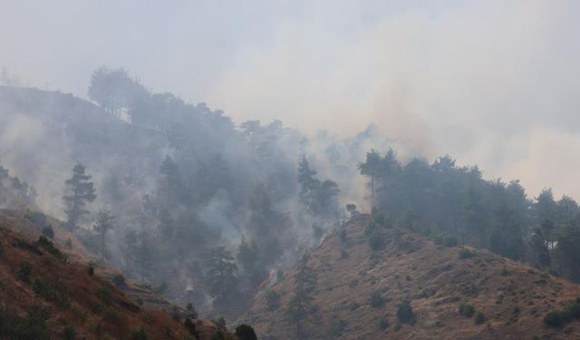 Kahramanmaraş'ta ev yangını ormana sıçradı! 130 personel ve havadan müdahale