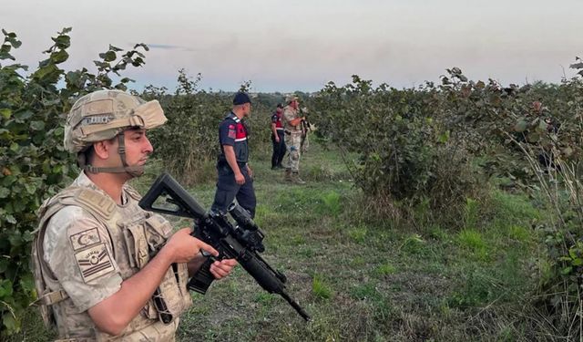 Sınır değil tarla nöbeti! Altınla yarışıyor