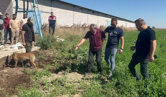 Dayısını öldürdü! Oda yetmedi başında ağladı