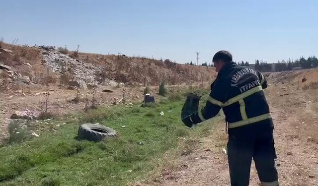 Kahramanmaraş'ta iş yerine giren yılan doğaya bırakıldı