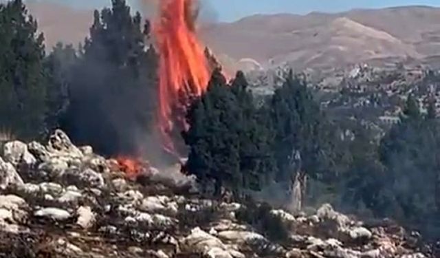 Kahramanmaraş'ta alevler içinde kalan orman söndürüldü