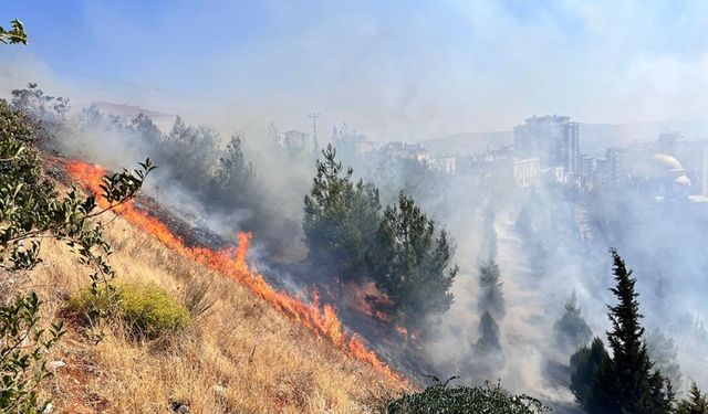 Kahramanmaraş'ta Şehitler Koruluğu'nda yangın