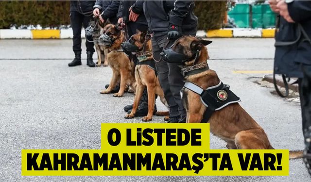 O listede Kahramanmaraş'ta var!