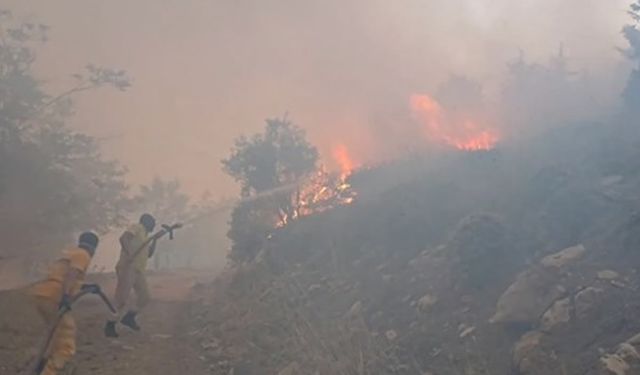 Kahramanmaraş'ta 4 gün önce çıkan yangın kontrol altına alındı