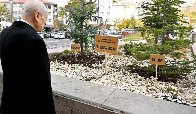 Bahçeli "Biz Kardeşiz" yazılı ağaç fidanları dikti