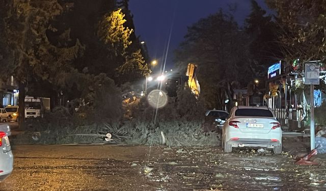 Kahramanmaraş'ta kuvvetli fırtına yarın öğle saatlerine kadar devam edecek