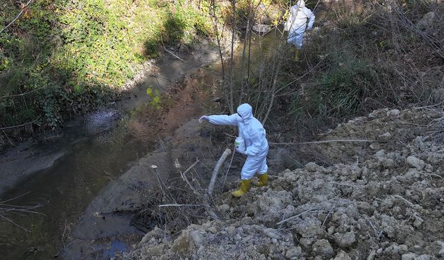 Büyükşehir, Ilıca’da Geniş Kapsamlı İlaçlama Çalışması Başlattı