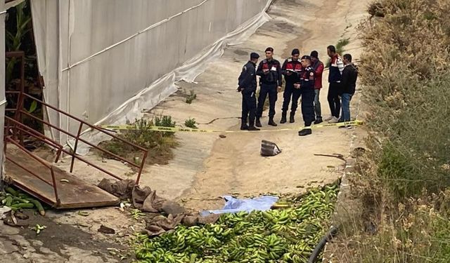 Muz serasında dehşet! Ortalık savaş alanına döndü: 2 ölü, 2 yaralı