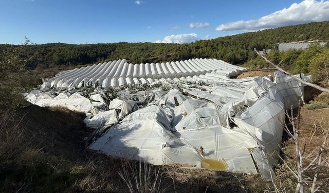 Etkili Olan Hortum, Muz Seralarına Zarar Verdi