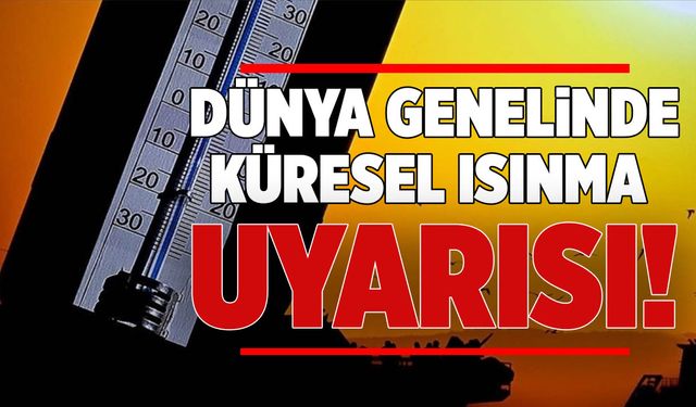 Dünya Geneli Küresel Isınma Uyarısı: 2024 En Sıcak Yıl Oldu