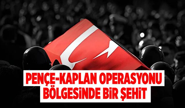 Pençe-Kaplan Operasyonu Bölgesinde Bir Şehit