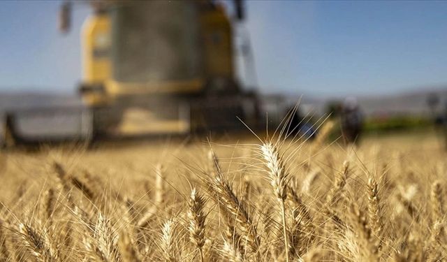 Kahramanmaraşlı Çiftçilere 6,7 Milyar Lira Destek Müjdesi