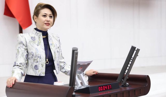Milletvekili Dora’dan Bağımsız Dış Politika Vurgusu