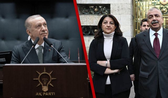 DEM Parti-Erdoğan Görüşmesinin Tarih ve Saati Belli Oldu