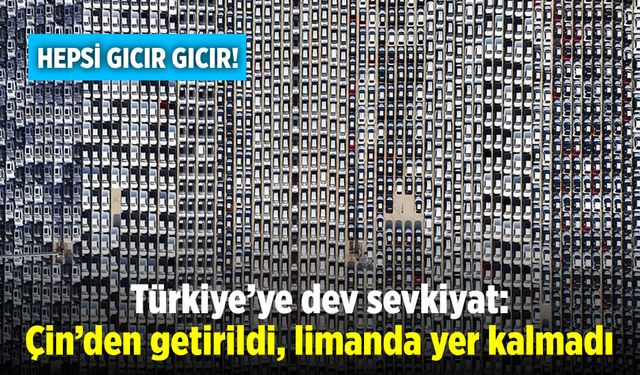 Türkiye'ye dev sevkiyat: Çin'den getirildi, limanda yer kalmadı
