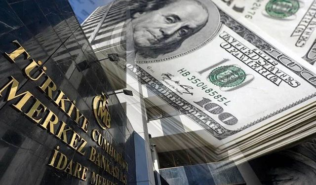 Merkez Bankası 5 Hafta Üst Üste Döviz Satışı Yaptı