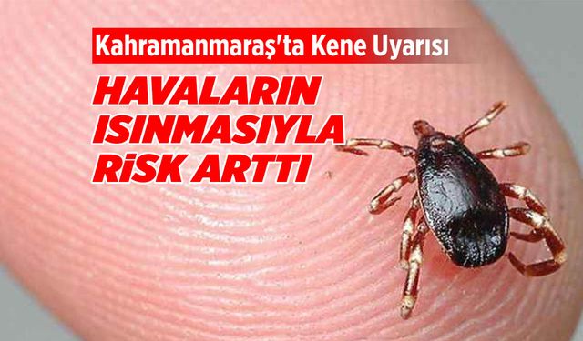 Kahramanmaraş'ta Kene Uyarısı: Havaların Isınmasıyla Risk Arttı