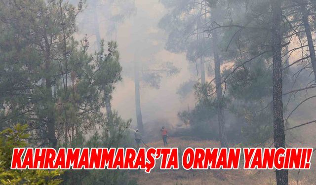 Kahramanmaraş’ta Orman Yangını! Ekipler Müdahaleye Başladı