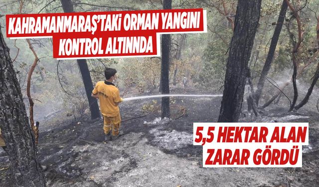 Kahramanmaraş’taki Orman Yangınında 5,5 Hektar Alan Zarar Gördü
