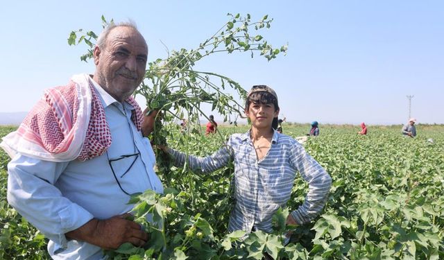 45 dereceyi aşan sıcakta 650 TL yevmiyeyle zorlu mesai