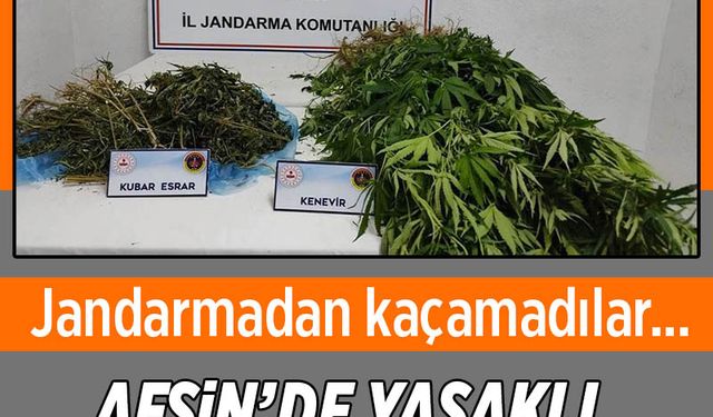 Afşin’de Yasaklı Madde Operasyonu! Jandarmadan Kaçamadılar