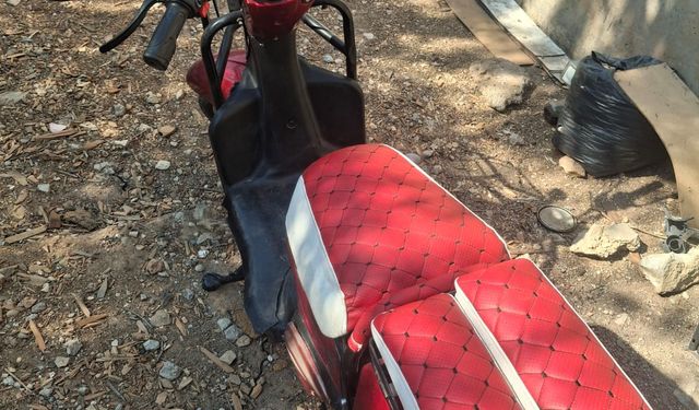 Deneme bahane dolandırıcılık şahane