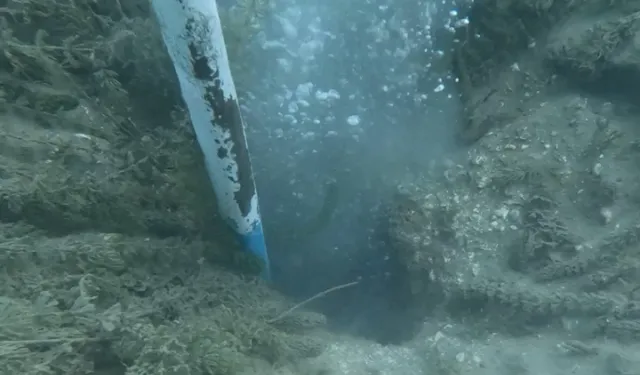 Sapanca Gölü'nde neler oluyor? Fokur fokur kaynıyor depremin habercisi mi?