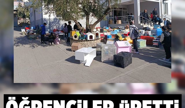 Öğrenciler üretti sokak kedileri kazandı