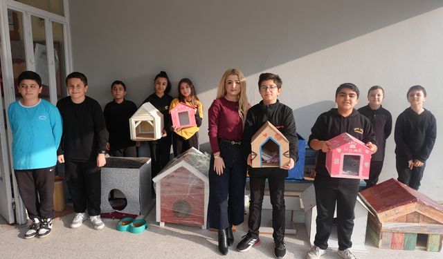 Öğrenciler üretti sokak kedileri kazandı