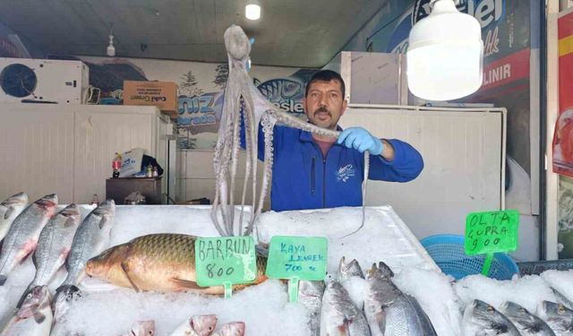 Denize kıyısı olmayan Kahramanmaraş’ta balığa yoğun ilgi