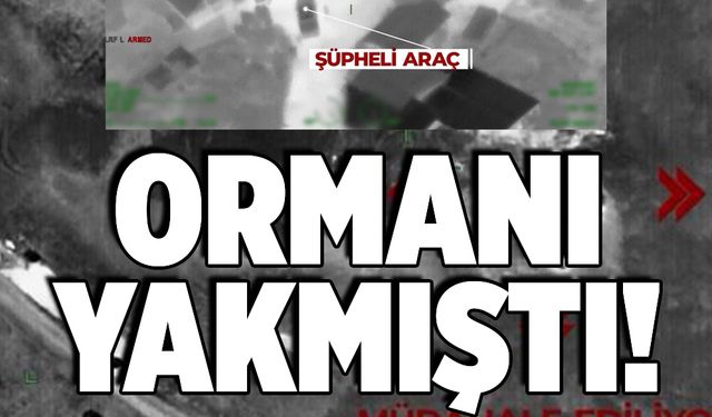 Ormanı yakan sanığa en az 10 yıl hapis istemiyle dava açıldı