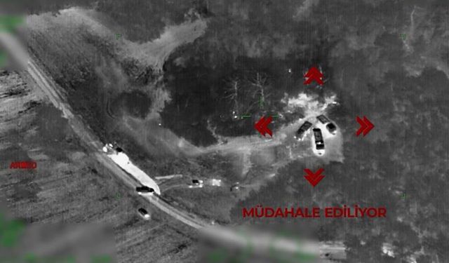 Ormanı yakan sanığa en az 10 yıl hapis istemiyle dava açıldı