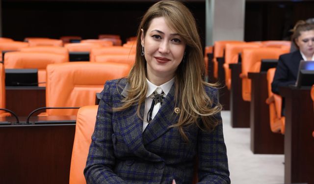 Kamu mühendislerine düzenleme şart