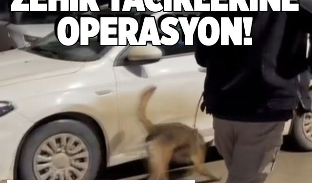 Kahramanmaraş'ta zehir tacirlerine operasyon! 3 tutuklama