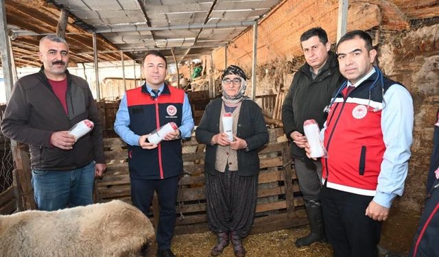 Çiftlikte şaşırtan anlar! Sakız koyunu 9 yavruyla gündem oldu